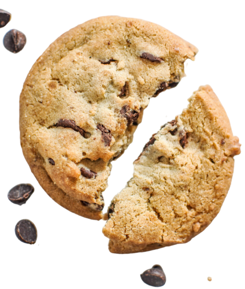 ¡GALLETITAS! Mini learnings